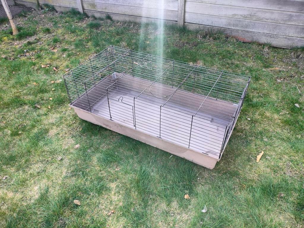 Kot kuikens/konijn/cavia, Ophalen
