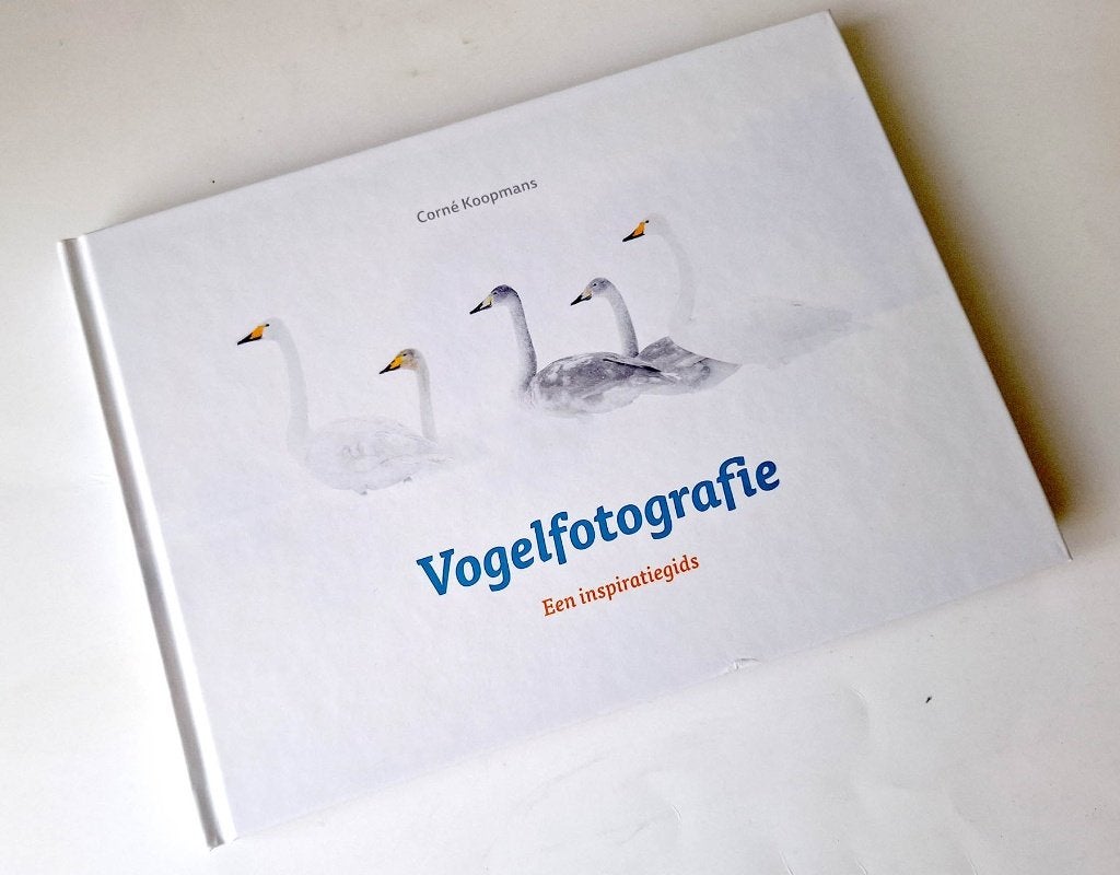Vogelfotografie - een inspiratiegids (Corné Koopmans), Livres, Enlèvement ou Envoi, Neuf, Oiseaux, Corné Koopmans