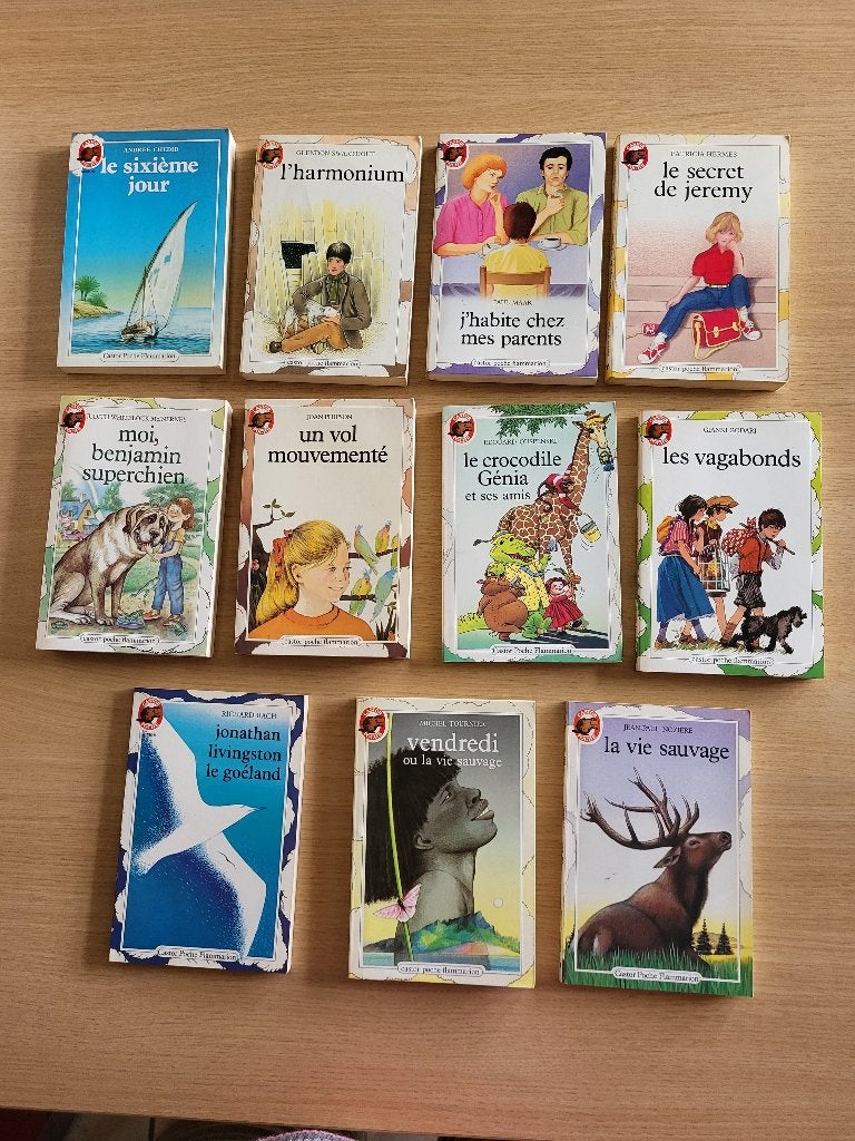 divers livres pour enfant castor poche, Enlèvement ou Envoi, Fiction, Utilisé, Divers auteurs