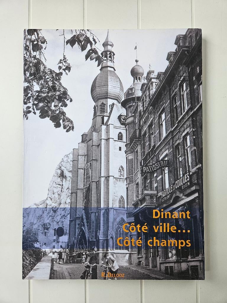 Dinant : Côté ville … Côté champs, Enlèvement ou Envoi, Comme neuf, R. DELOOZ