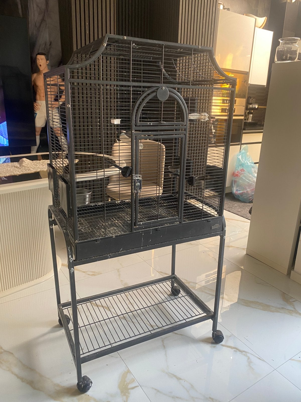 Vogelkooi, Ophalen, Zo goed als nieuw, Metaal, Vogelkooi