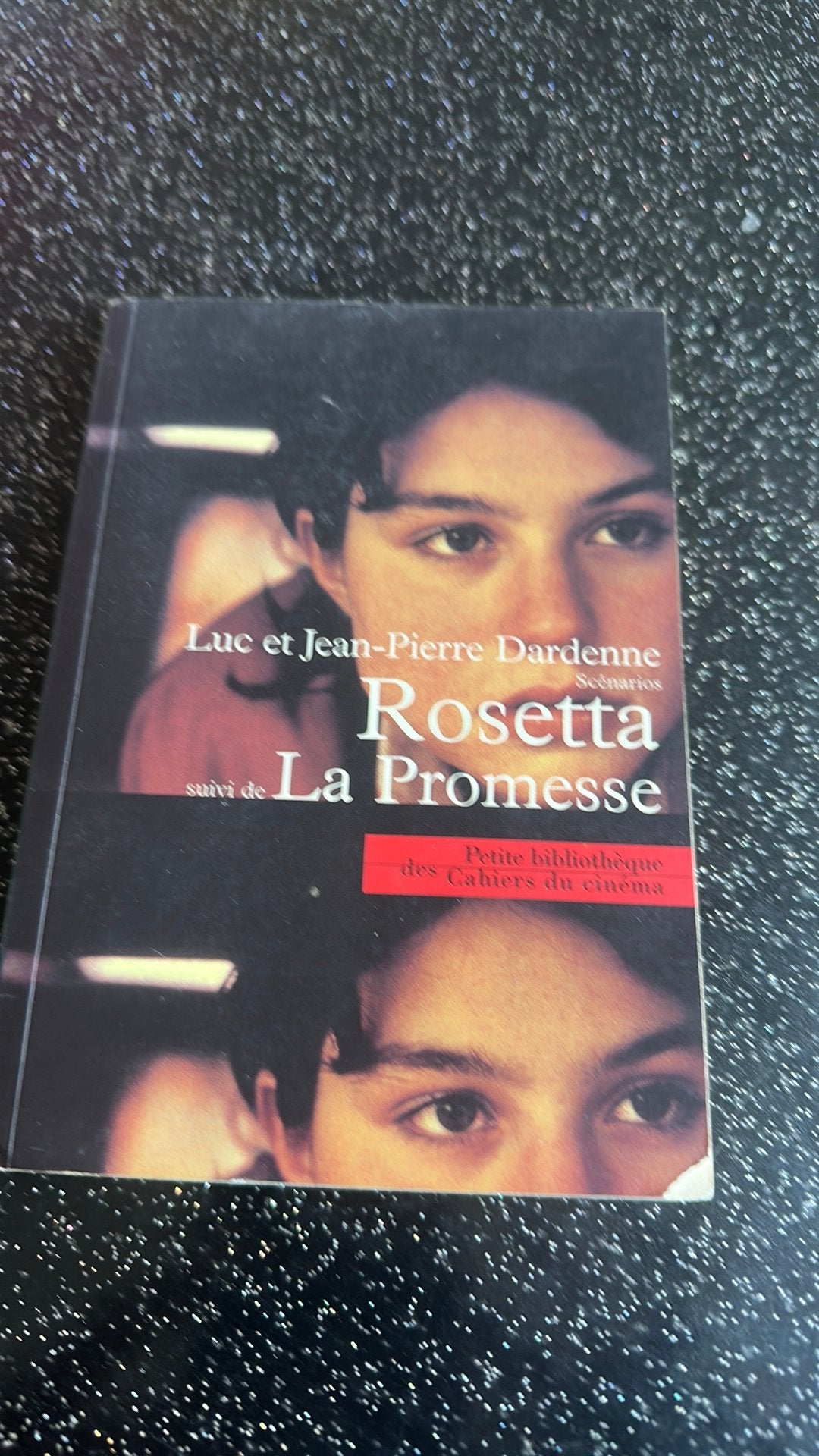 Livre Rosetta la Promesse Luc et J P Dardenne, Enlèvement ou Envoi, Utilisé
