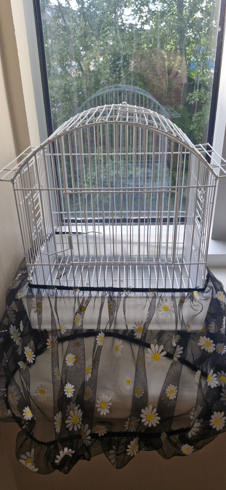 petite cage de transport, Enlèvement
