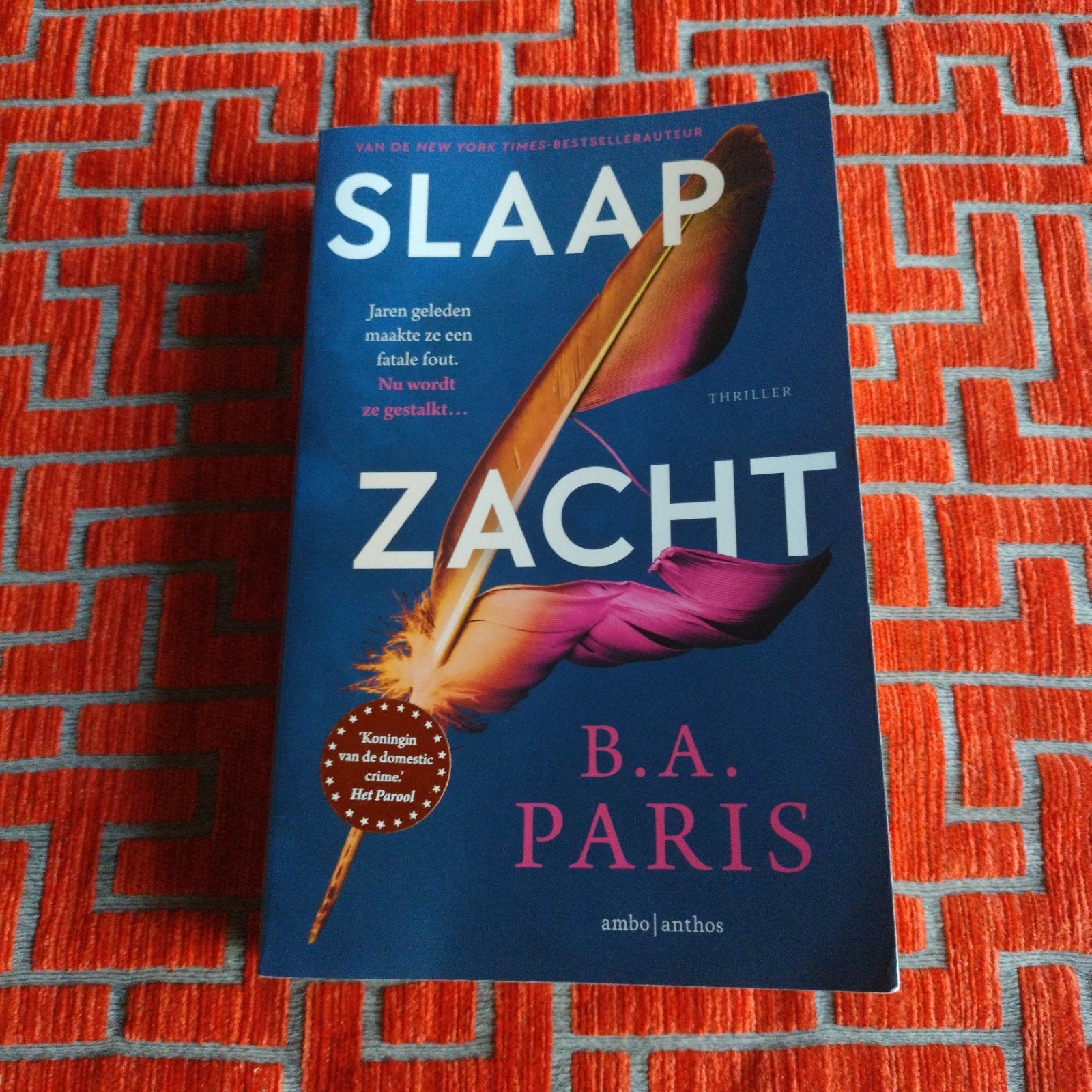 slaap zacht, Boeken, Ophalen of Verzenden, Zo goed als nieuw, B A Paris, België