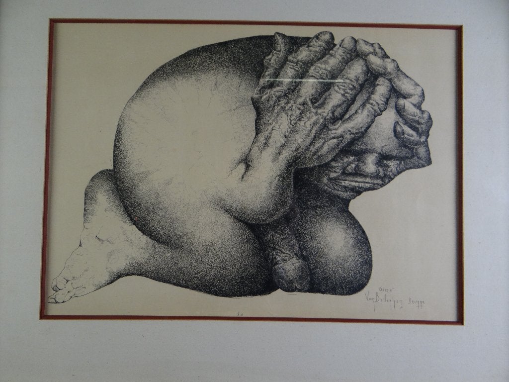 Aimé Van Belleghem, Enlèvement