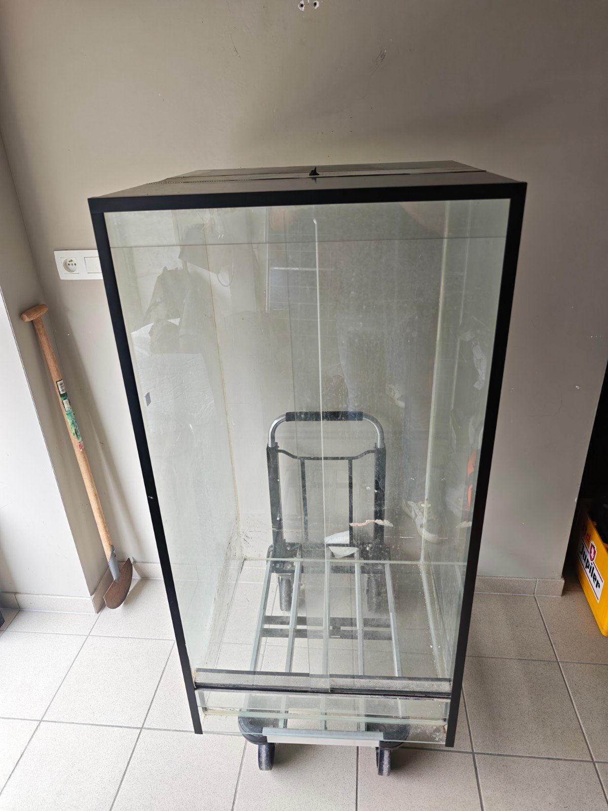 grote glazen terrarium
