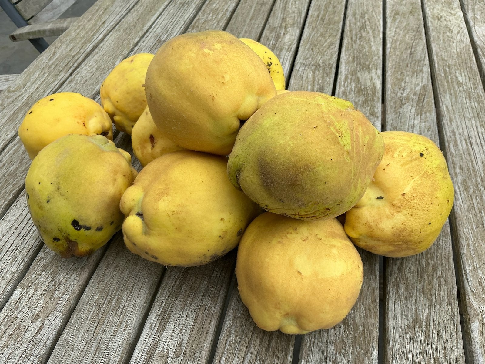 Kweeperen, Ophalen