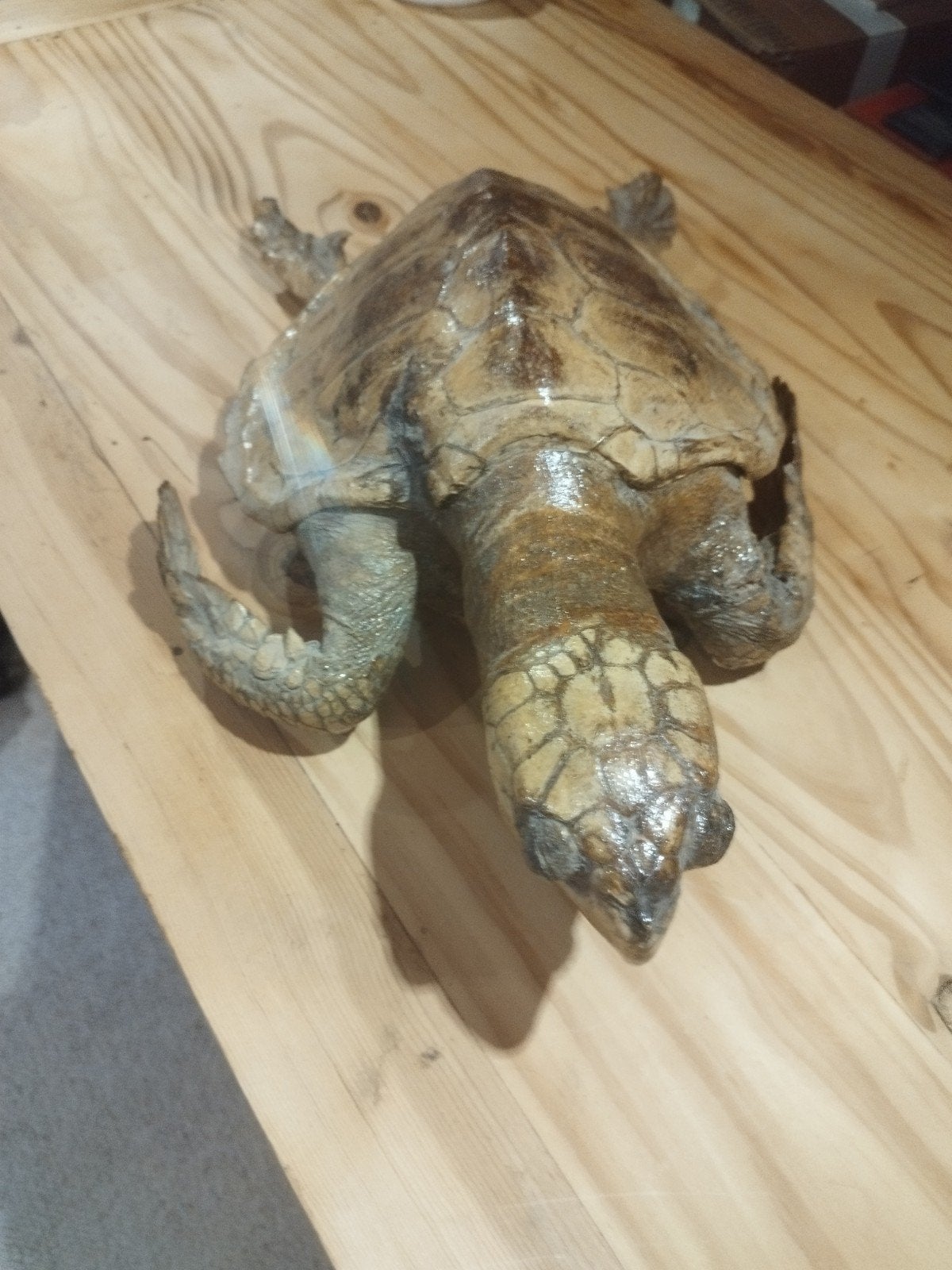 schildpad, Ophalen of Verzenden