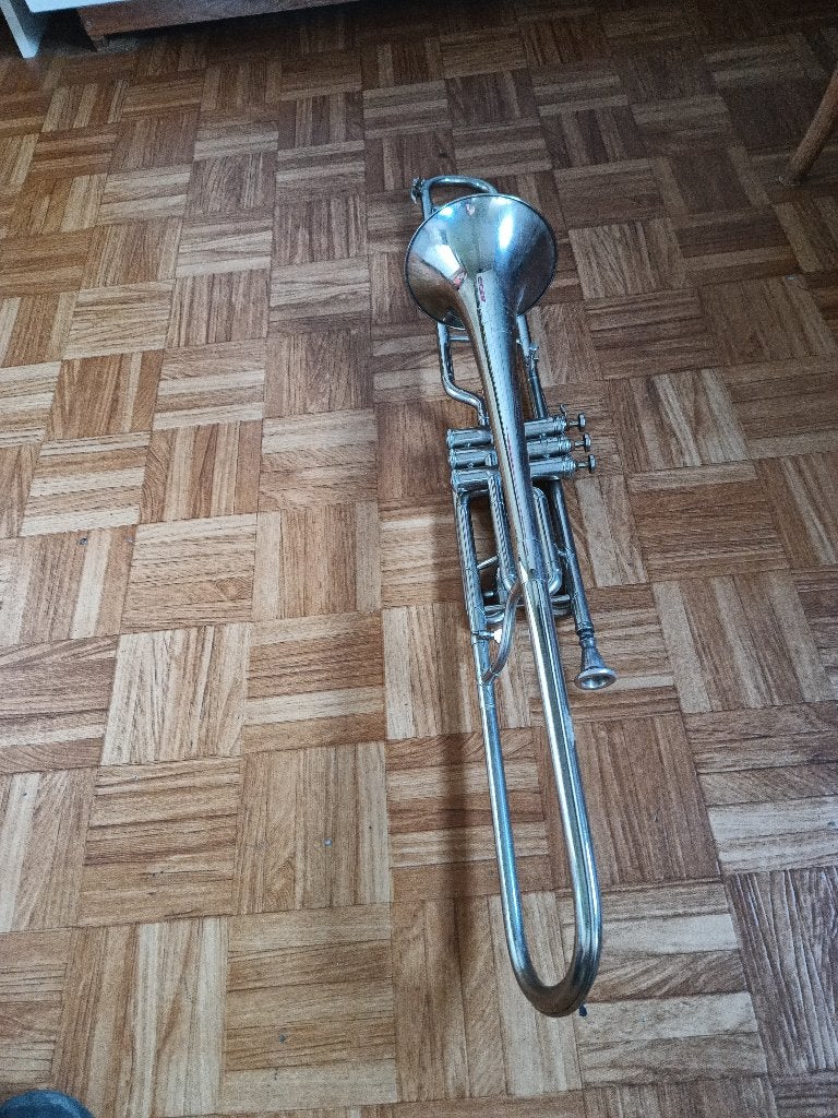 trombone ventielen, Muziek en Instrumenten, Ophalen, Gebruikt, Tenor