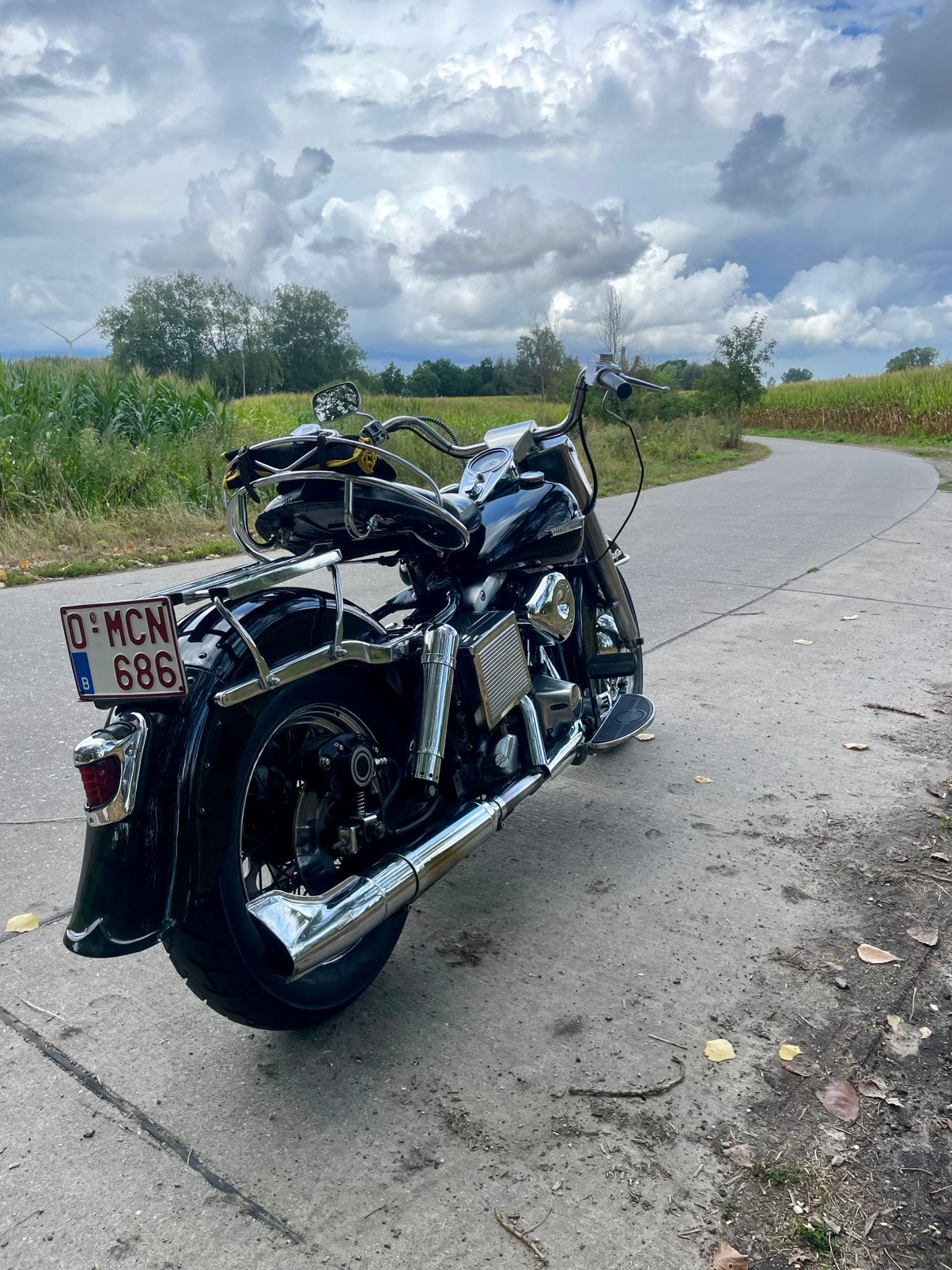 Harley Davidson Electra Glide, Motoren, 2 cilinders, 1340 cc, Gebruikt, Particulier