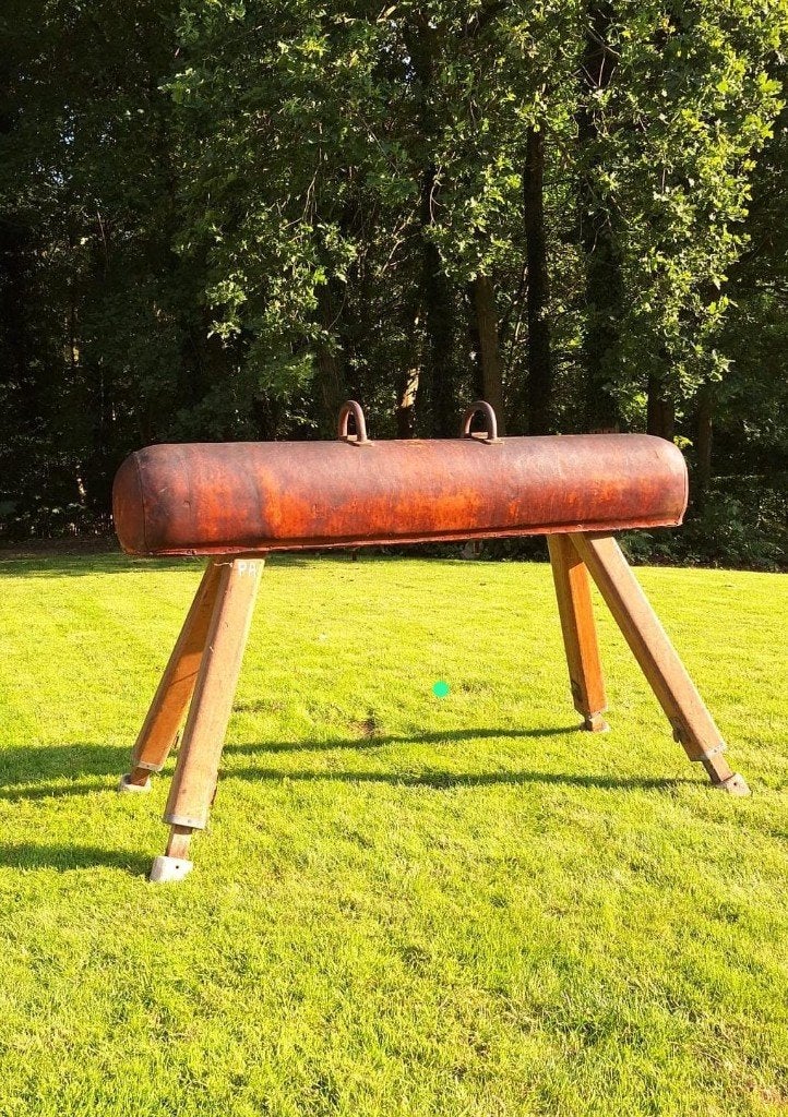 Turntoestel - paard met dubbele bogen., Ophalen, Gebruikt