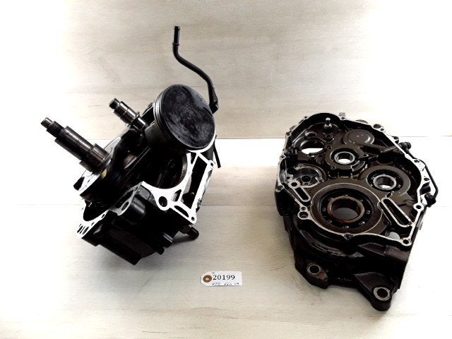 XTZ660 Tenere 2008 - 2013 Yamaha Motorblok D1-38081