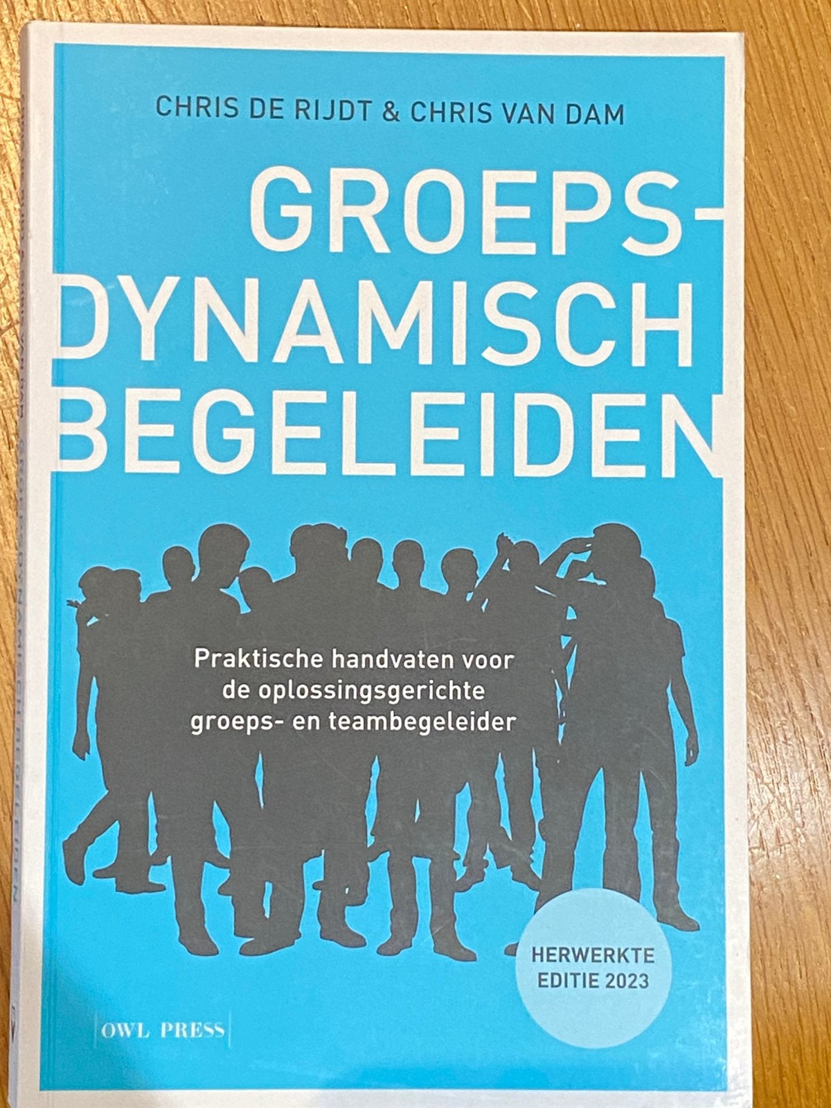 Chris De Rijdt - Groepsdynamisch begeleiden, Ophalen of Verzenden, Chris De Rijdt; Chris Van Dam