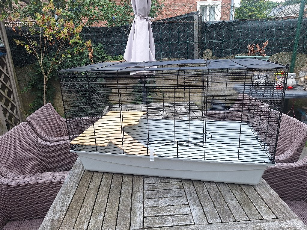 Hamsterkooi met accessoires, Dieren en Toebehoren, Kooi, Gebruikt, Cavia, 75 tot 110 cm