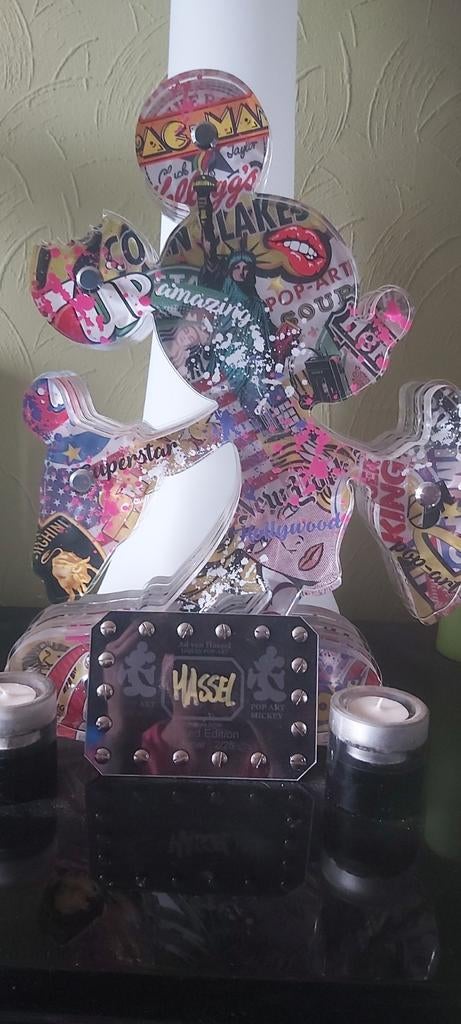 Ad van hassel  micky mouse, Ophalen