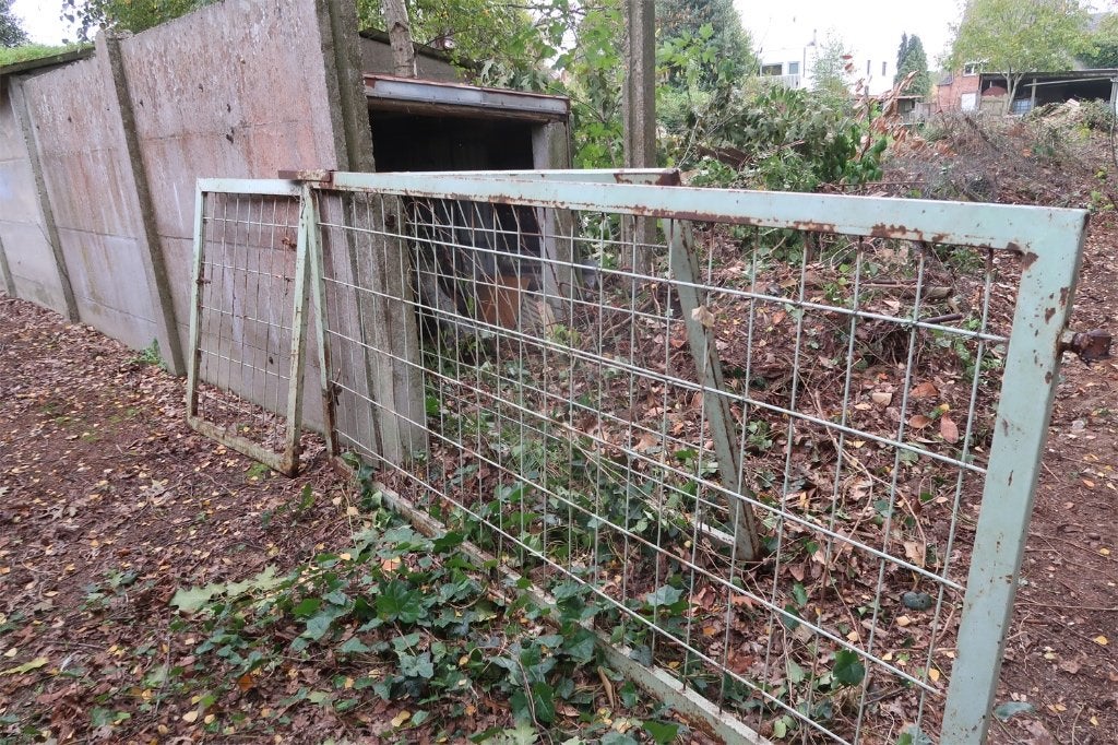 Metalen poort GRATIS, Tuin en Terras, Ophalen, Met poort, Gebruikt, Overige typen