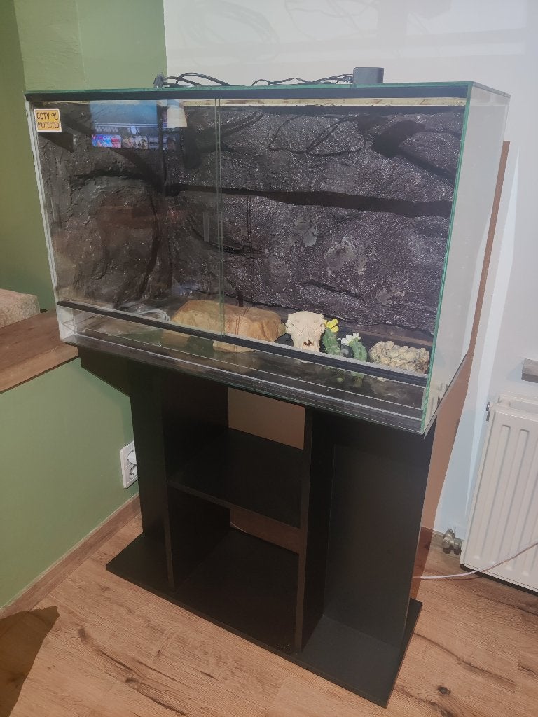 Terrarium 80x40x50 avec paroi arrière et armoire, Animaux & Accessoires, Enlèvement, Utilisé, Terrarium ou Paludarium