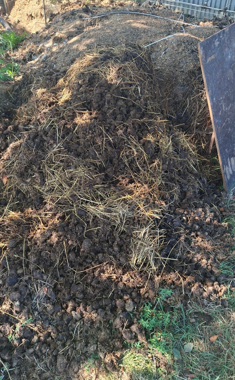gratis mest, Tuin en Terras, Ophalen, Mest