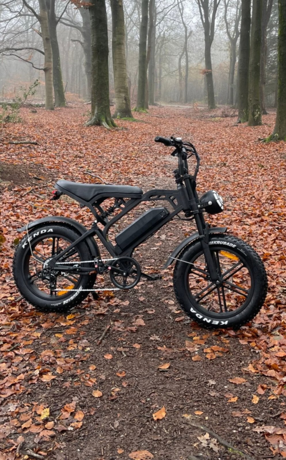 Fatbike V20 Pro — En parfait état ! (Echanges possibles), Enlèvement, Utilisé, Frein à disque