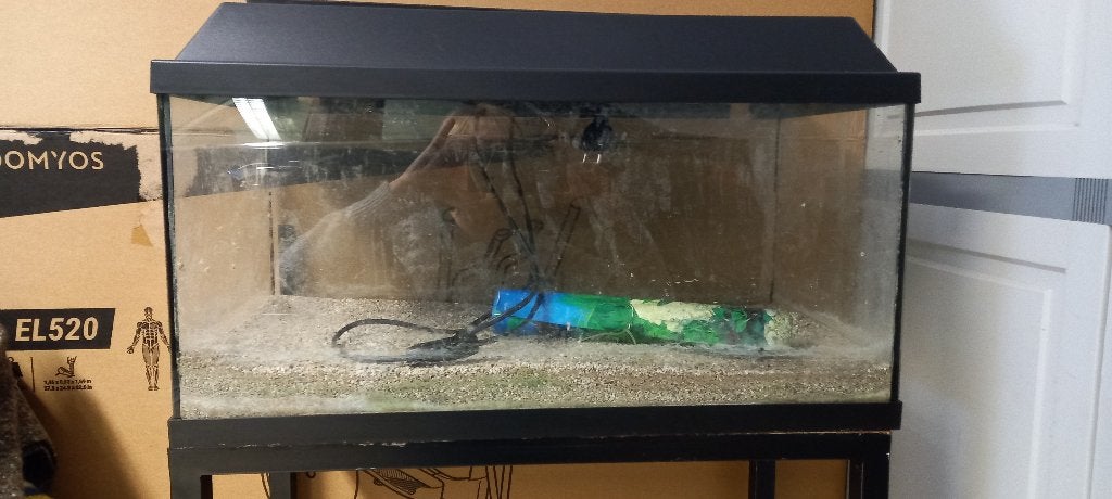 aquarium, Animaux & Accessoires, Enlèvement, Couvercle inclus, Utilisé, Aquarium vide
