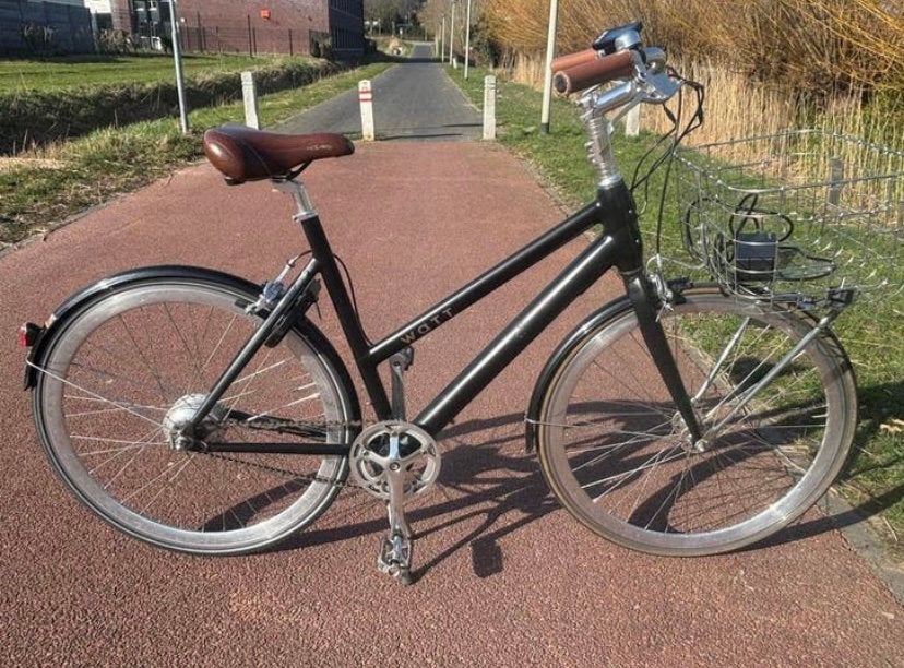 Watt Dublin ST Vintage elektrische fiets, Ophalen