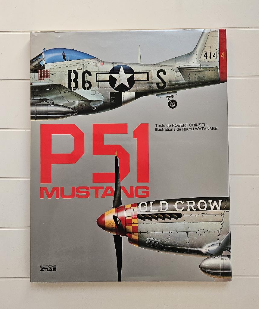 P51 Mustang - Série Rikyu, Livres, Rikyu Watanabe, Enlèvement ou Envoi, Deuxième Guerre mondiale, Utilisé