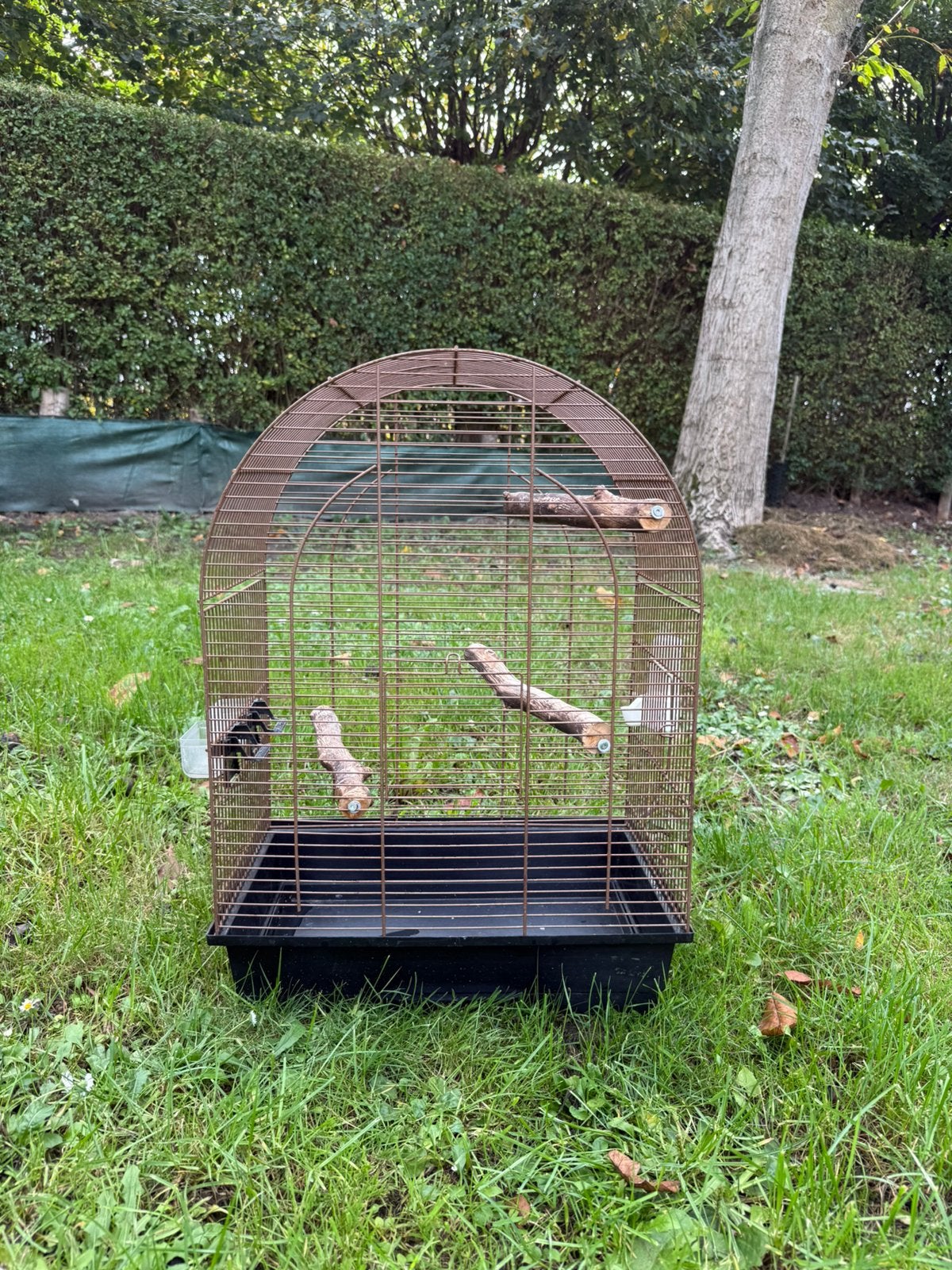 Cage oiseaux, Dieren en Toebehoren, Ophalen, Zo goed als nieuw