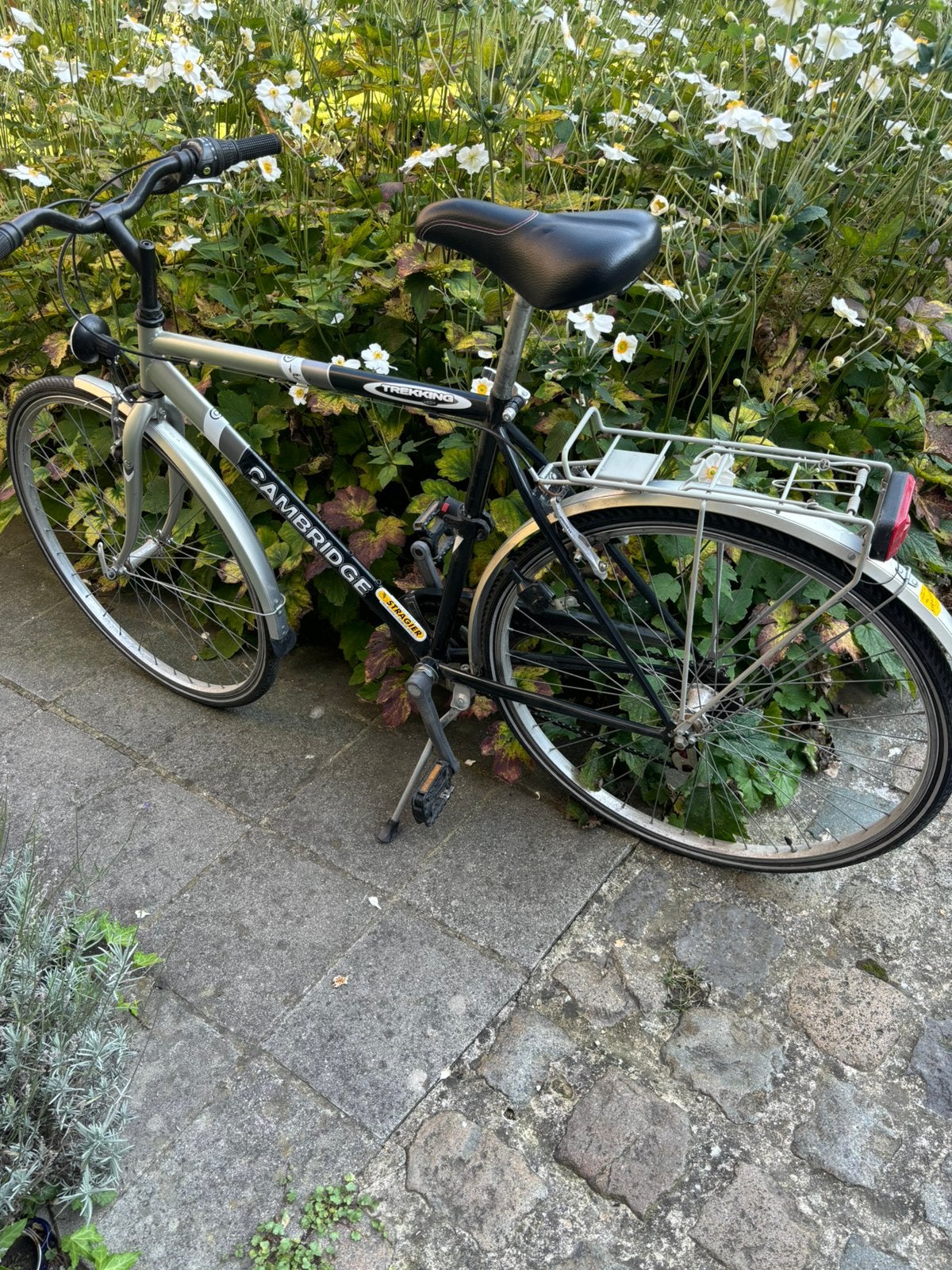 Herenfiets Cambridge, Vélos & Vélomoteurs, Enlèvement, Utilisé, Autres marques