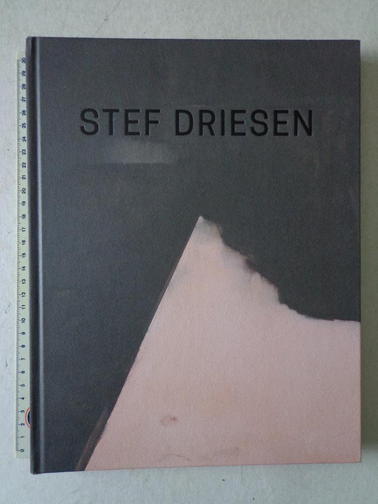 Kunstboek Stef Driesen door Wouter Davidts uit 2005, Wouter Davidts, Ophalen of Verzenden, Zo goed als nieuw, Schilder- en Tekenkunst