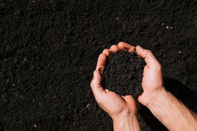 Terre à donner livraison inclus, Envoi, Terre pour jardin