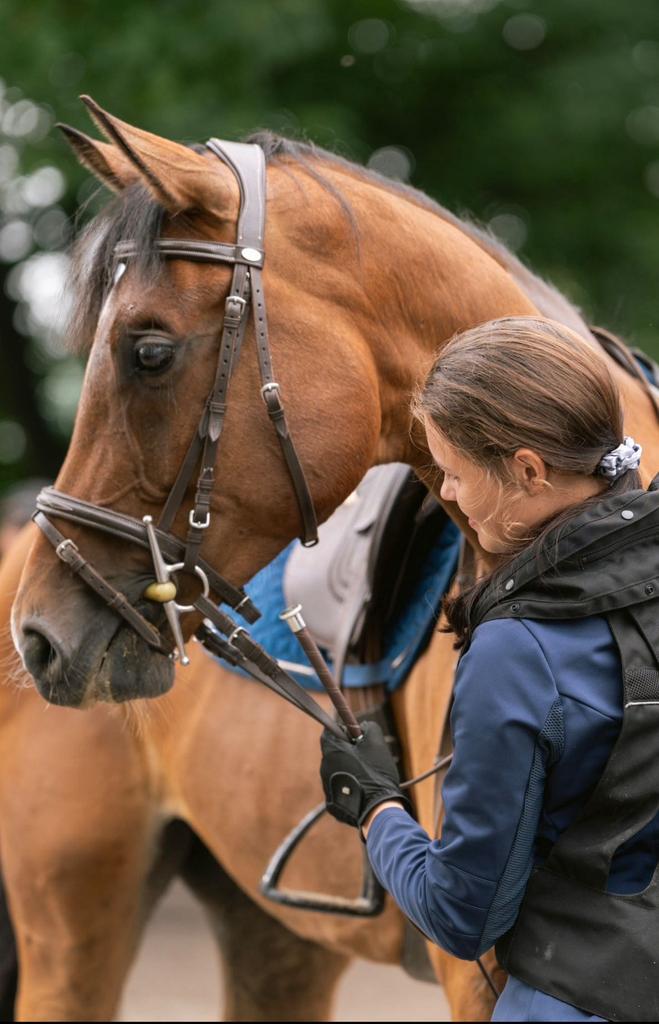 Ruine à vendre, Animaux & Accessoires, Chevaux & Poneys | Produits de soin, Comme neuf, Enlèvement