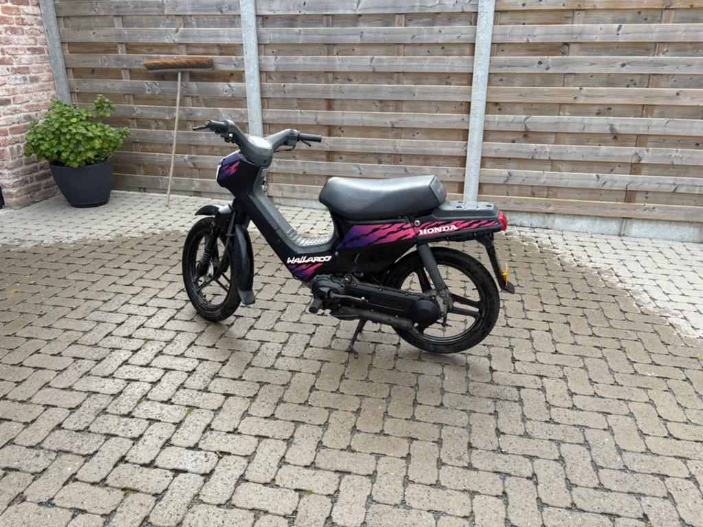 Honda wallaroo, Motoren, Particulier