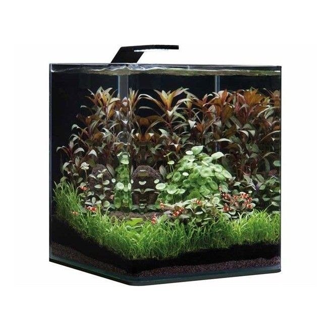 Dennerle Nano Cube 60 L + 2 x Dennerle Nano Style LED 8W, Animaux & Accessoires, Aquarium vide, Dennerle, Enlèvement, Utilisé
