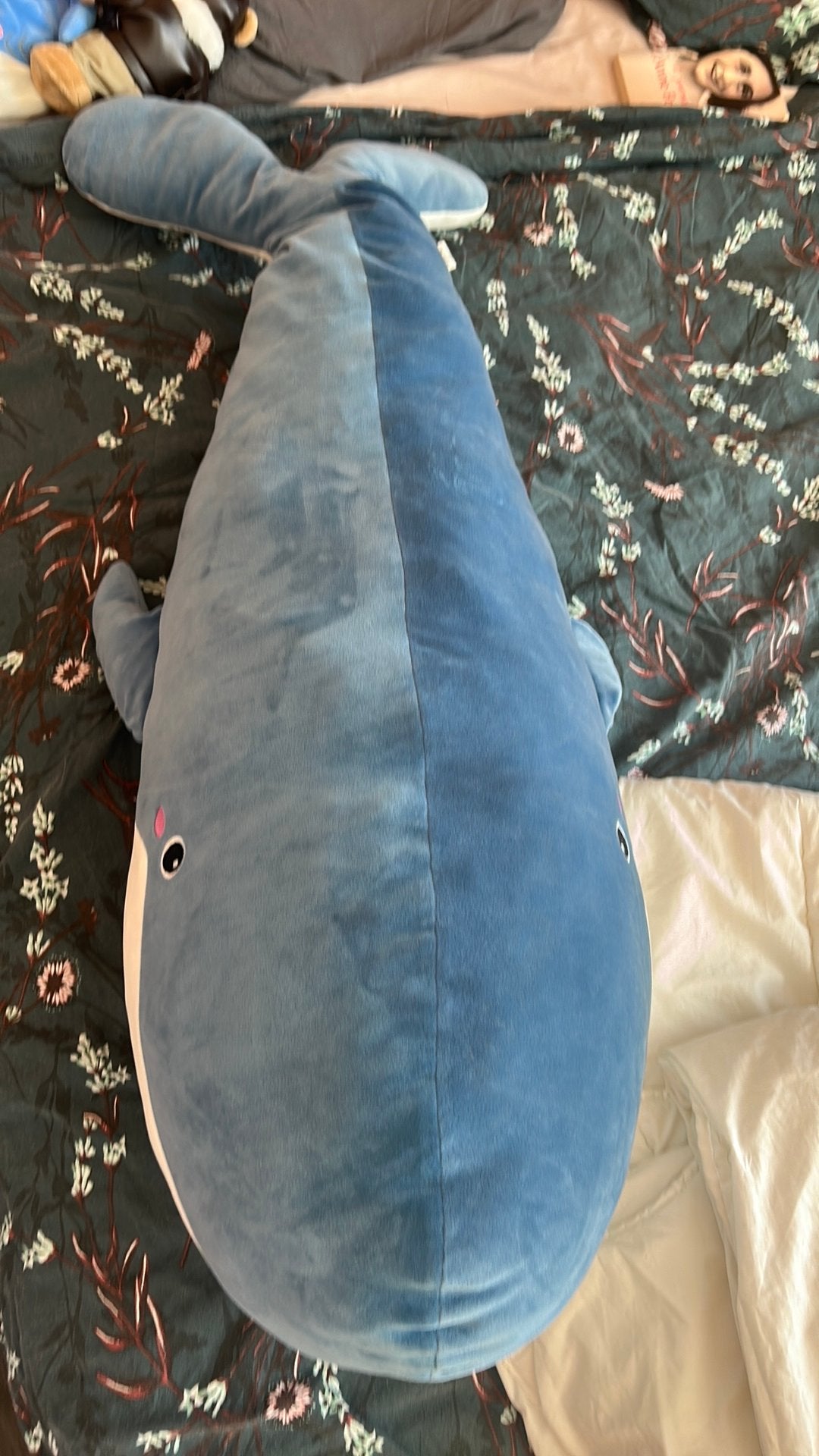 Peluche baleine, Collections, Enlèvement, Utilisé