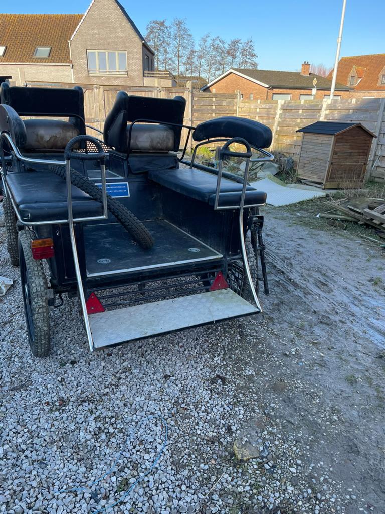 Koets enkel dubbelspan, Dieren en Toebehoren, Gebruikt, Wagonette, Paard