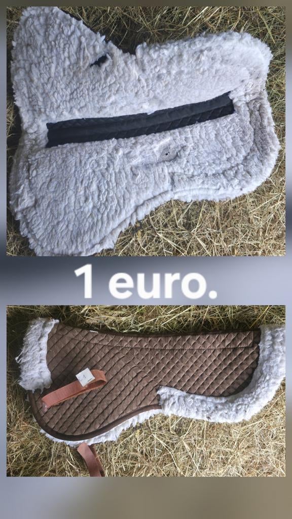 Dekjes paard. Onderlegger paard, Enlèvement