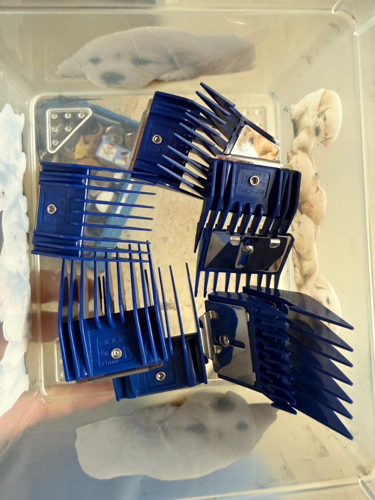 Opzetkammen Andis te koop verschillende lengtes, Dieren en Toebehoren, Ophalen, Nieuw