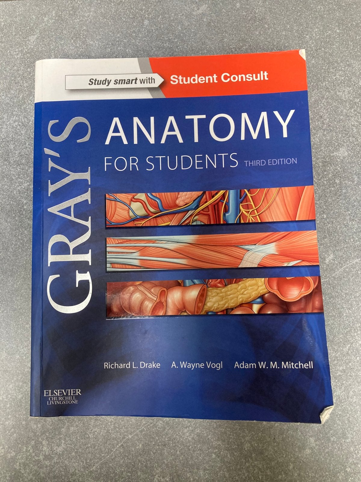 Gray's Anatomy for Students 3e: With Student Consult Online, Enlèvement, A. Wayne Vogl