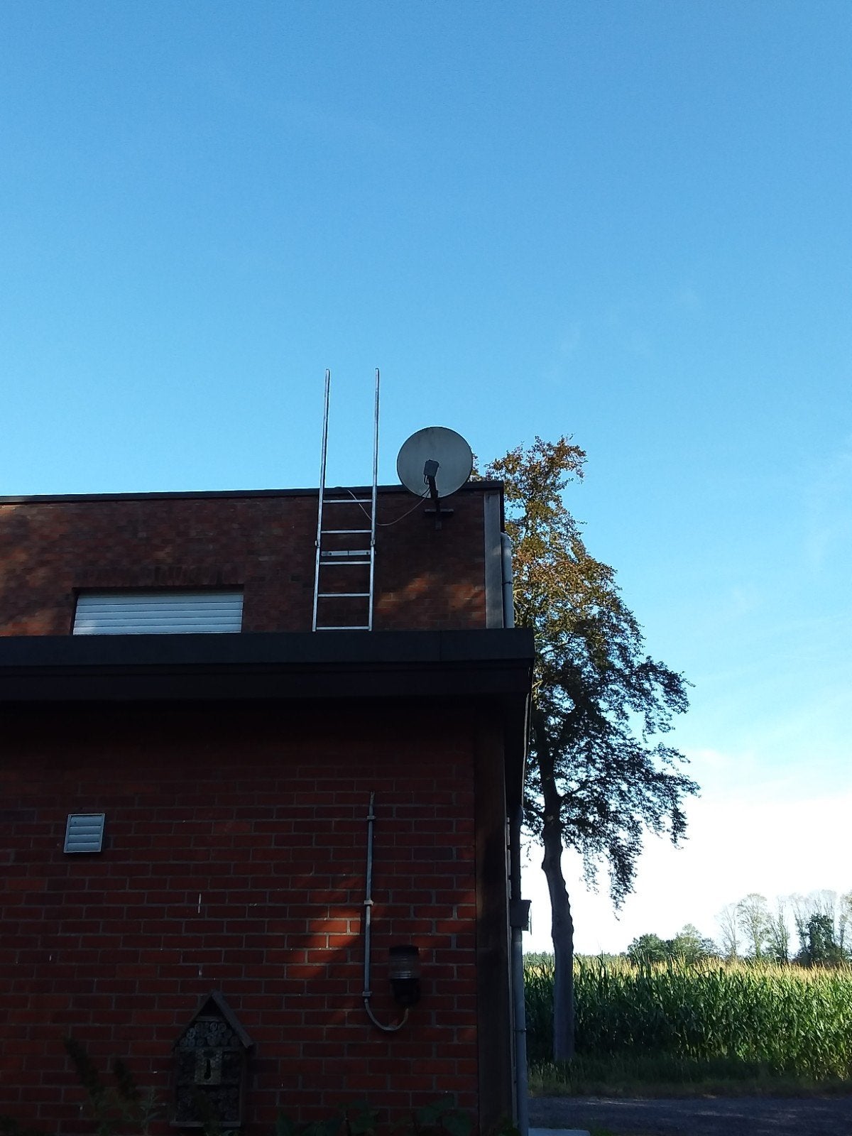 schotelantenne twee koppen en decoder tv Vlaanderen, Ophalen