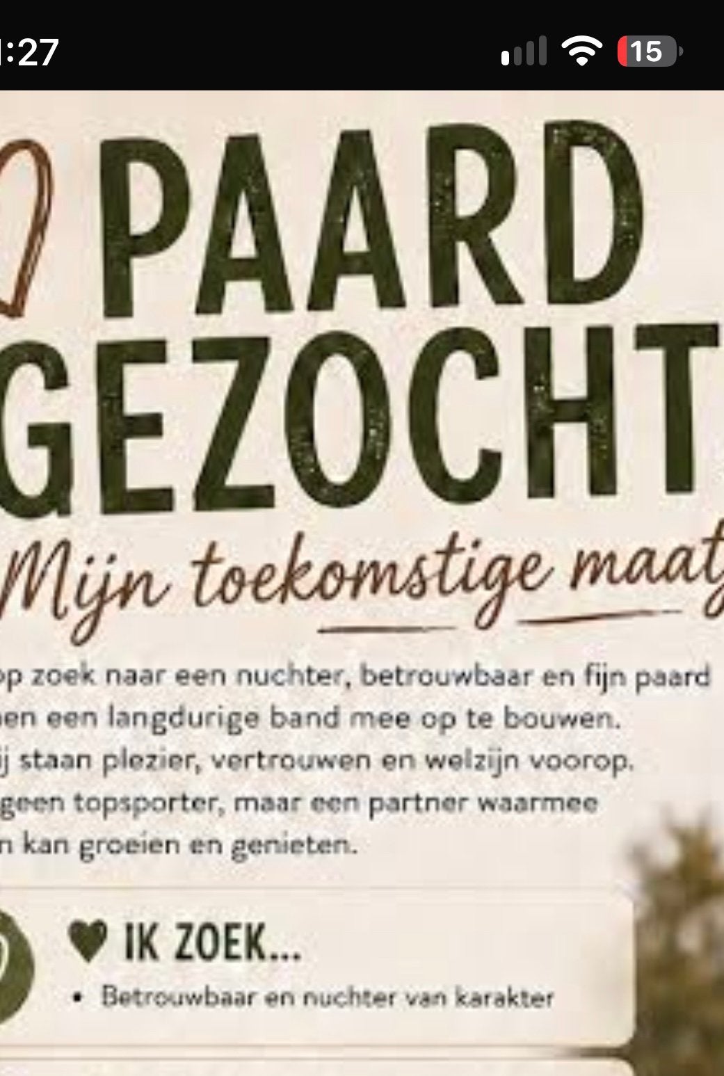 recreatie paard gezocht