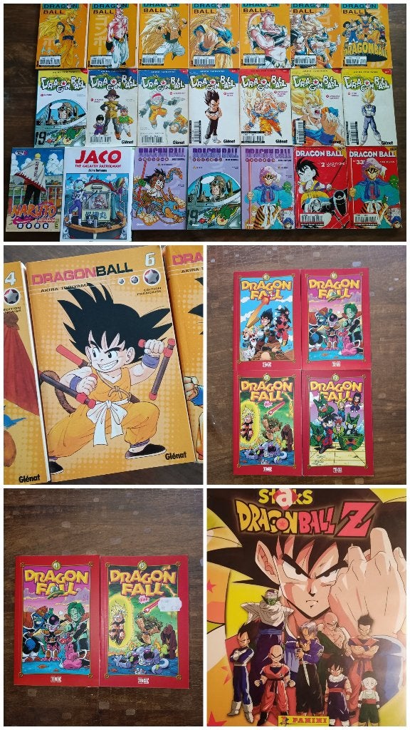 Lot Manga FV, Enlèvement, Utilisé