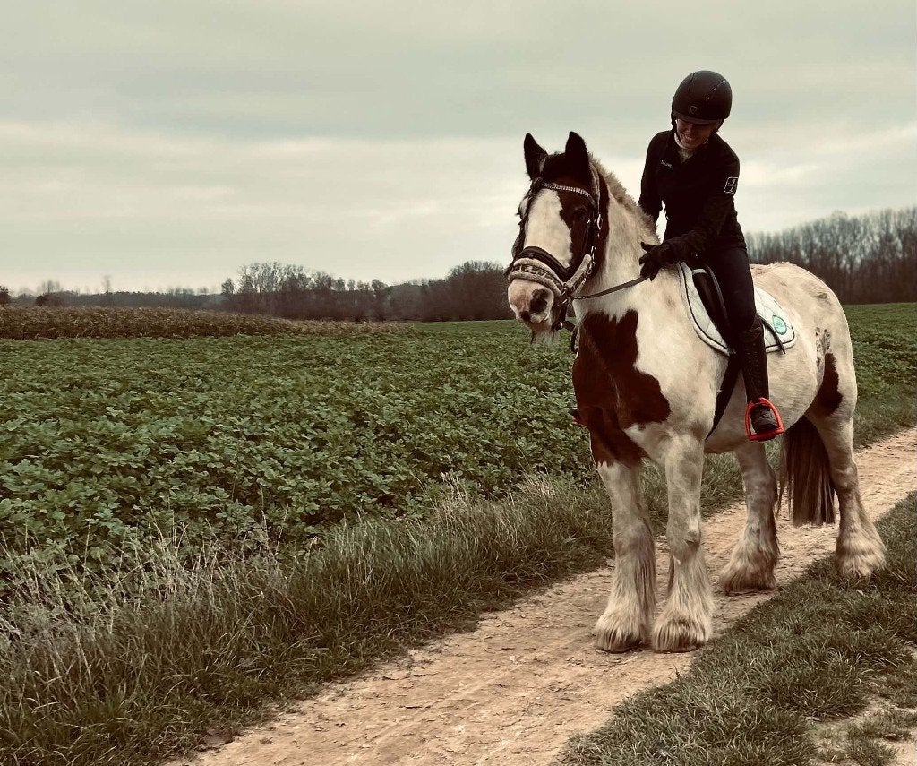 Bijrijder gezocht voor mijn lieve tinkermerrie, Dieren en Toebehoren, Minder dan 160 cm, Zadelmak, 11 jaar of ouder, Recreatiepaard