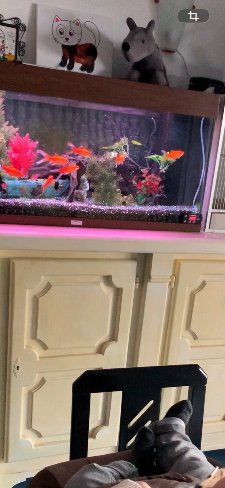 Aquarium, Ophalen, Zo goed als nieuw