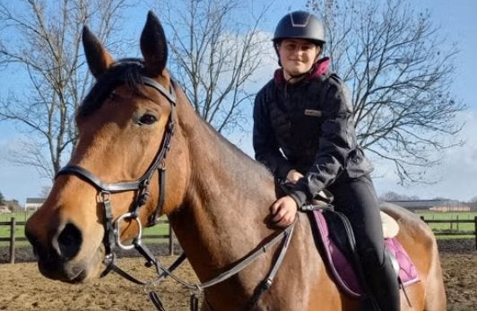 Gezocht: paard te lease - bruikleen, Dieren en Toebehoren, Paarden en Pony's | Overige Paardenspullen, Dressuur, Ophalen of Verzenden