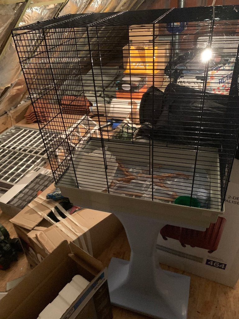 Vogelkooi, Dieren en Toebehoren, Ophalen, Gebruikt, Vogelkooi