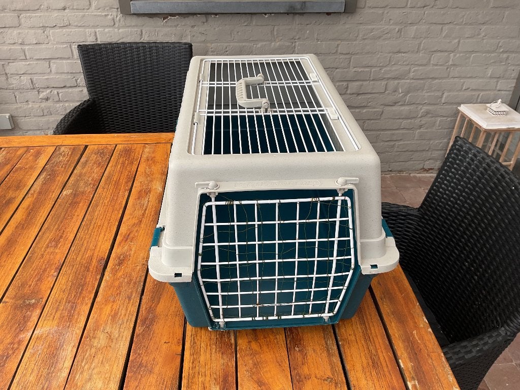Katten transportbox, Animaux & Accessoires, Boîtes de transport, Enlèvement, Utilisé