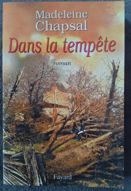 "Dans la tempête" Madeleine Chapsal (2000), Livres, Romans, Comme neuf, Europe autre, Enlèvement ou Envoi
