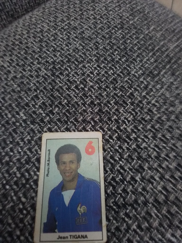Panini, Enlèvement