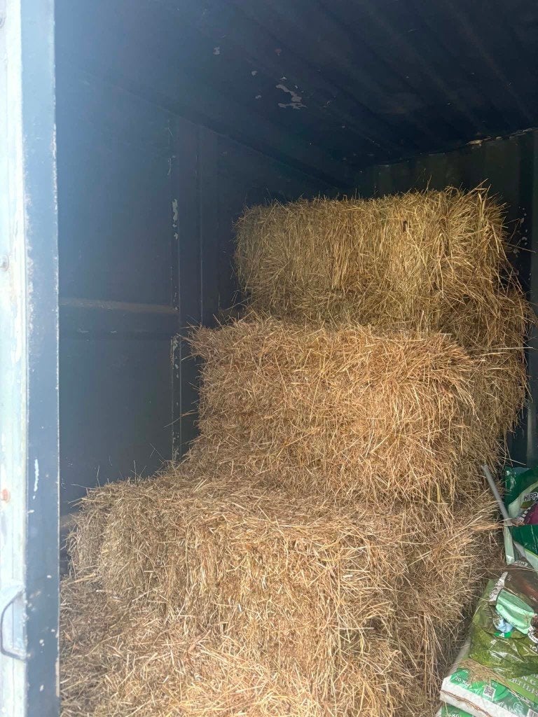 Hooi te koop, Dieren en Toebehoren, Paarden