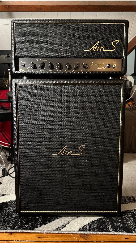 AmS Amplifiers Bass 120 Custom + 2x10 oversized, Musique & Instruments, Enlèvement, Comme neuf, Guitare basse, 100 watts ou plus